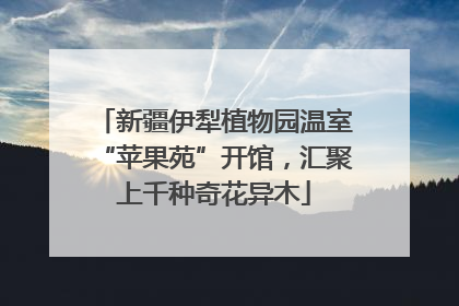 新疆伊犁植物园温室“苹果苑”开馆，汇聚上千种奇花异木