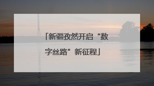 新疆孜然开启“数字丝路”新征程