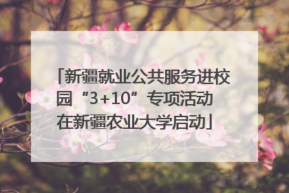 新疆就业公共服务进校园“3+10”专项活动在新疆农业大学启动