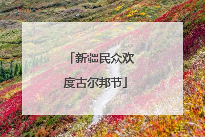 新疆民众欢度古尔邦节