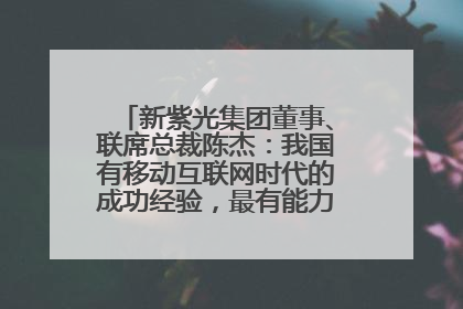 新紫光集团董事、联席总裁陈杰：我国有移动互联网时代的成功经验，最有能力做好AI应用创新