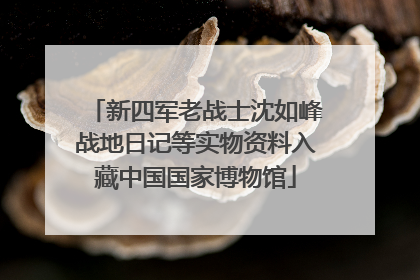 新四军老战士沈如峰战地日记等实物资料入藏中国国家博物馆