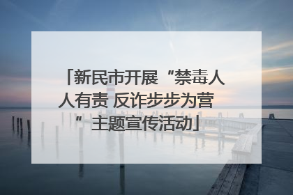 新民市开展“禁毒人人有责 反诈步步为营”主题宣传活动
