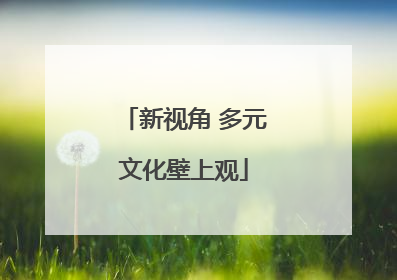 新视角 多元文化壁上观