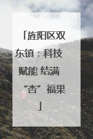 旌阳区双东镇：科技赋能 结满“杏”福果