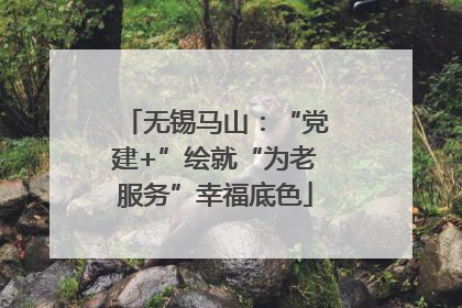 无锡马山：“党建+”绘就“为老服务”幸福底色