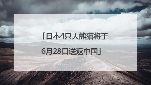 日本4只大熊猫将于6月28日送返中国