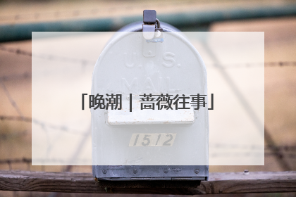 晚潮｜蔷薇往事
