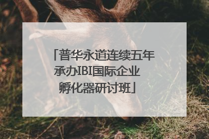 普华永道连续五年承办IBI国际企业孵化器研讨班