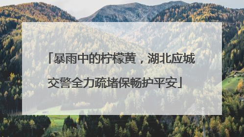 暴雨中的柠檬黄，湖北应城交警全力疏堵保畅护平安