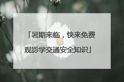 暑期来临，快来免费观影学交通安全知识