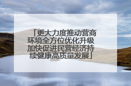 更大力度推动营商环境全方位优化升级加快促进民营经济持续健康高质量发展