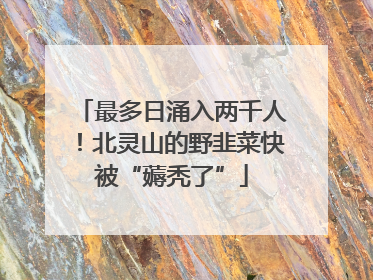 最多日涌入两千人！北灵山的野韭菜快被“薅秃了”