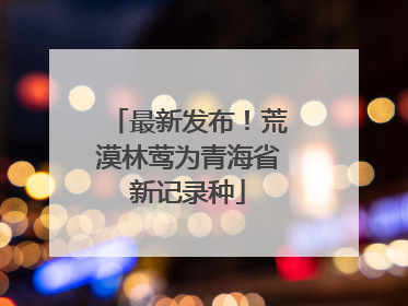 最新发布！荒漠林莺为青海省新记录种