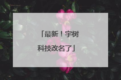最新！宇树科技改名了