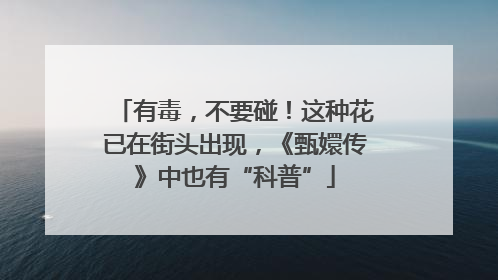 有毒，不要碰！这种花已在街头出现，《甄嬛传》中也有“科普”