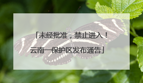 未经批准，禁止进入！云南一保护区发布通告