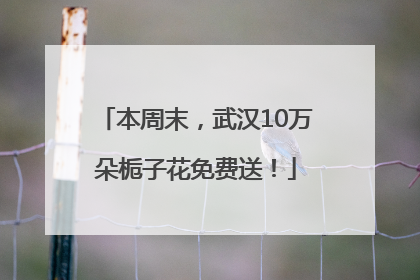 本周末，武汉10万朵栀子花免费送！