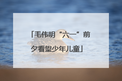 毛伟明“六一”前夕看望少年儿童