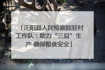 正阳县人民检察院驻村工作队：助力“三夏”生产 确保粮食安全