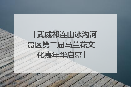 武威祁连山冰沟河景区第二届马兰花文化嘉年华启幕