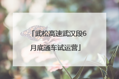 武松高速武汉段6月底通车试运营