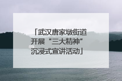 武汉唐家墩街道开展“三大精神”沉浸式宣讲活动