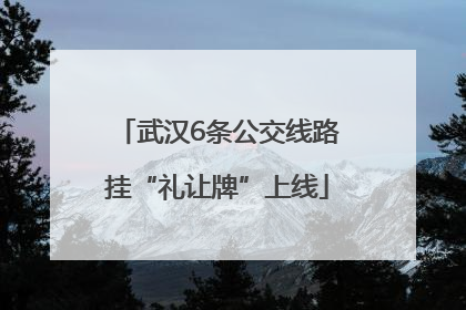 武汉6条公交线路挂“礼让牌”上线