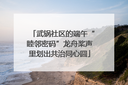 武锅社区的端午“睦邻密码”龙舟桨声里划出共治同心圆