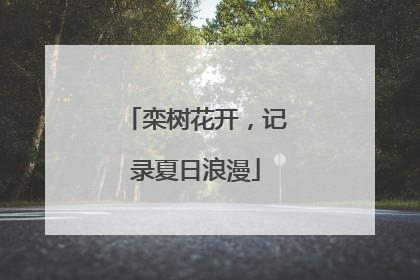 栾树花开，记录夏日浪漫