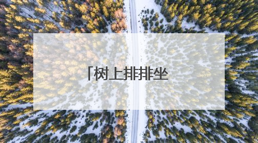 树上排排坐 树下人挤人！厦大校园来了一窝猫头鹰引围观