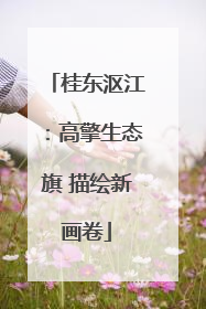 桂东沤江：高擎生态旗 描绘新画卷