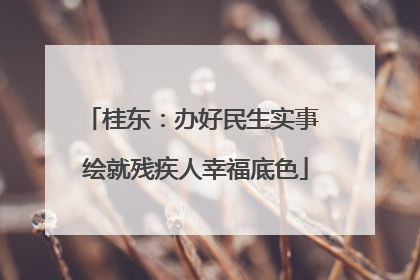 桂东：办好民生实事 绘就残疾人幸福底色
