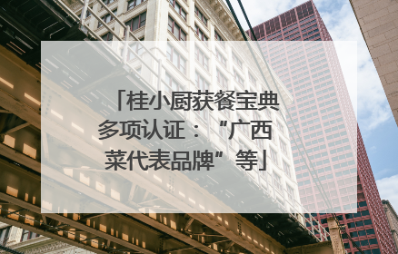桂小厨获餐宝典多项认证：“广西菜代表品牌”等