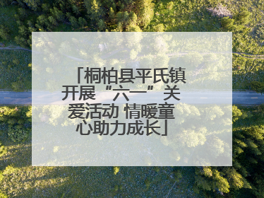 桐柏县平氏镇开展“六一”关爱活动 情暖童心助力成长