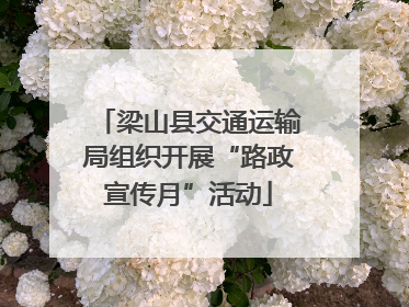 梁山县交通运输局组织开展“路政宣传月”活动