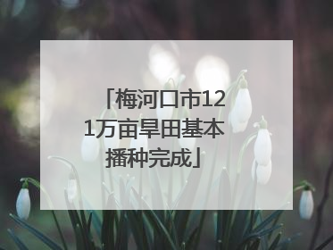 梅河口市121万亩旱田基本播种完成