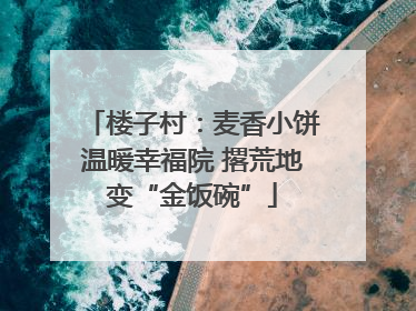 楼子村：麦香小饼温暖幸福院 撂荒地变“金饭碗”