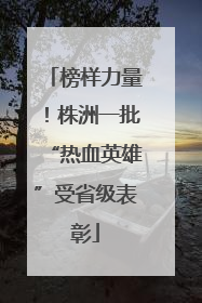 榜样力量！株洲一批“热血英雄”受省级表彰