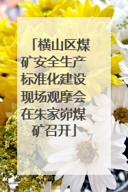 横山区煤矿安全生产标准化建设现场观摩会在朱家峁煤矿召开