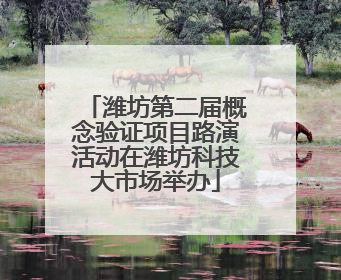 潍坊第二届概念验证项目路演活动在潍坊科技大市场举办