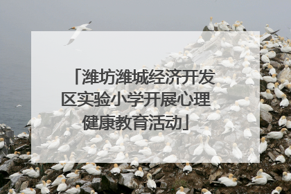 潍坊潍城经济开发区实验小学开展心理健康教育活动