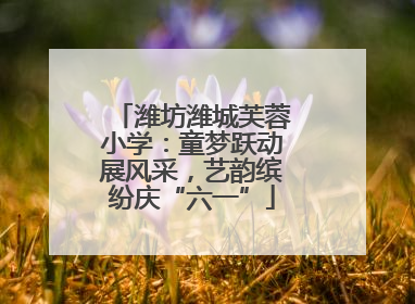 潍坊潍城芙蓉小学：童梦跃动展风采，艺韵缤纷庆“六一”