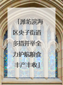 潍坊滨海区央子街道多措并举全力护航粮食丰产丰收