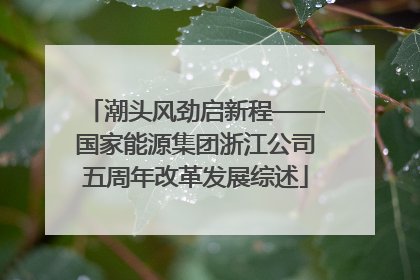 潮头风劲启新程——国家能源集团浙江公司五周年改革发展综述