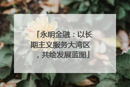 永明金融：以长期主义服务大湾区，共绘发展蓝图