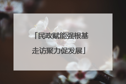 民政赋能强根基 走访聚力促发展