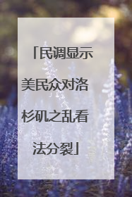 民调显示美民众对洛杉矶之乱看法分裂