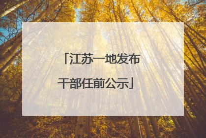 江苏一地发布干部任前公示