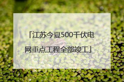 江苏今夏500千伏电网重点工程全部竣工